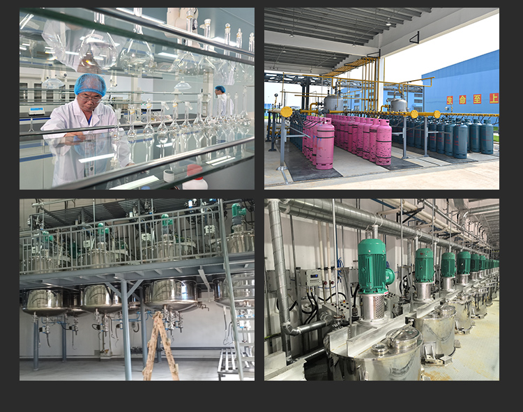 東莞市賽亞氣霧劑有限公司+GDT41250494-落地頁_13 東莞市賽亞氣霧劑有限公司+GDT41250494-落地頁_13